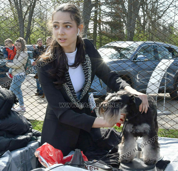 126 елитни кучета дефилират на Шоу на шампионите