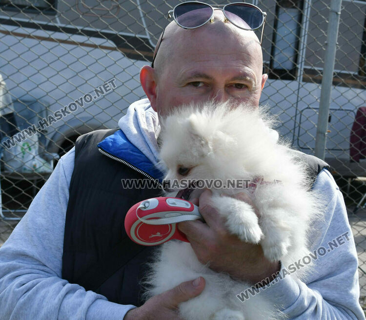 126 елитни кучета дефилират на Шоу на шампионите