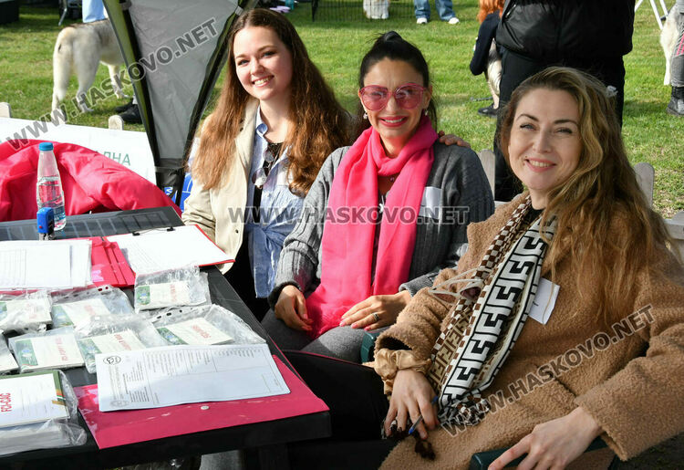 126 елитни кучета дефилират на Шоу на шампионите