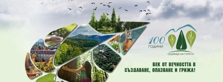 Раздават млади дръвчета в Смолян и Борино за 100 години Седмица на гората