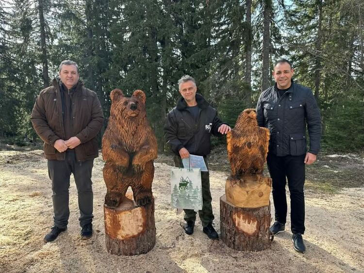 15 уникални дървени скулптури оживяха в Пампорово по време на благотворителен карвинг пленер