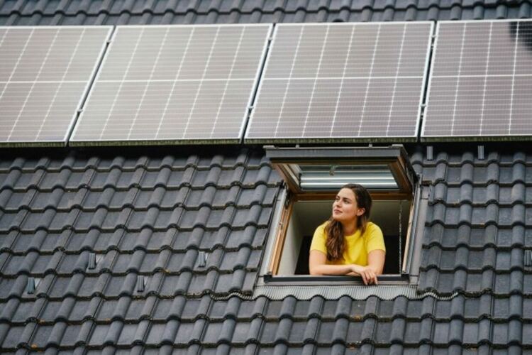 Домашните слънчеви покриви и изпуснатите „питомни“ европари