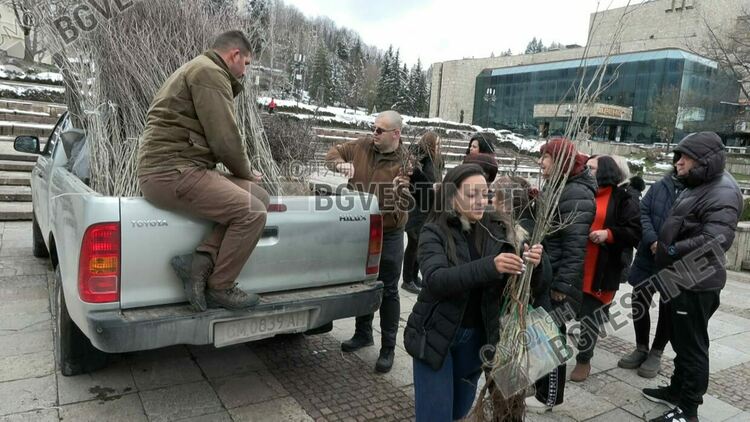 ЮЦДП Смолян и ДГС Борино раздадоха безплатни фиданки по случай Седмицата на гората