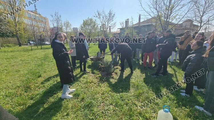 Горското стопанство в Хасково ще залеси над 200 декара площи през тази година