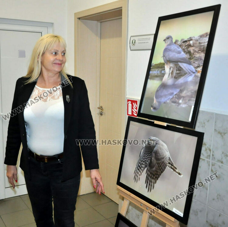 Раздават 370 дръвчета в Хасково, показват фотоизложба на защитени видове животни