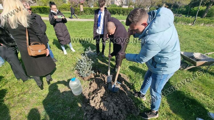 Горското стопанство в Хасково ще залеси над 200 декара площи през тази година