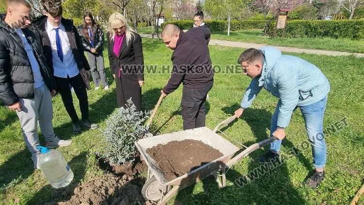Горското стопанство в Хасково ще залеси над 200 декара площи през тази година
