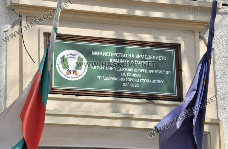 Раздават 370 дръвчета в Хасково, показват фотоизложба на защитени видове животни