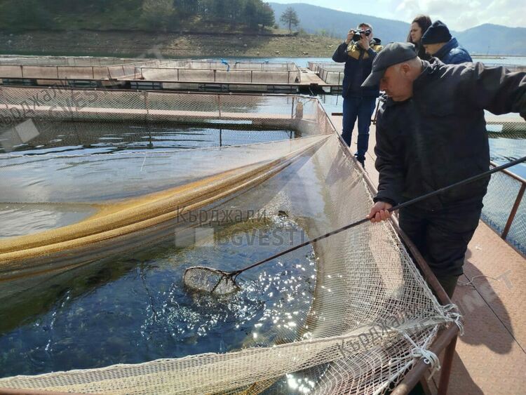Първото за тази година зарибяване бе извършено в язовир „Кърджали“