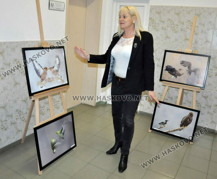 Раздават 370 дръвчета в Хасково, показват фотоизложба на защитени видове животни