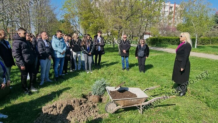 Горското стопанство в Хасково ще залеси над 200 декара площи през тази година