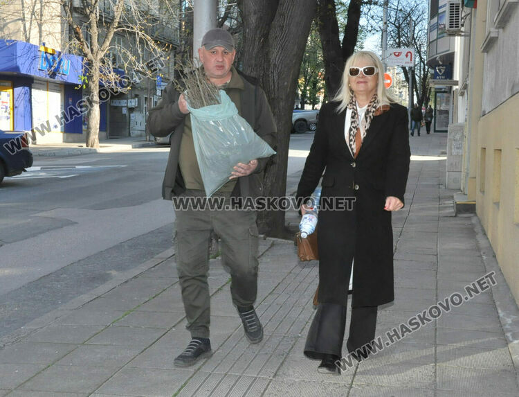 Горското стопанство раздаде 370 дръвчета за залесяване на паркове и градинки в Хасково