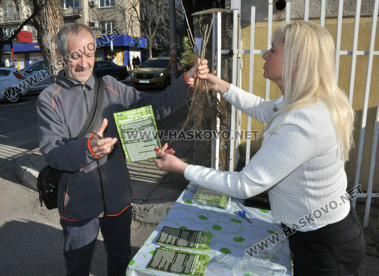 Горското стопанство раздаде 370 дръвчета за залесяване на паркове и градинки в Хасково