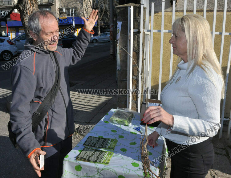 Горското стопанство раздаде 370 дръвчета за залесяване на паркове и градинки в Хасково