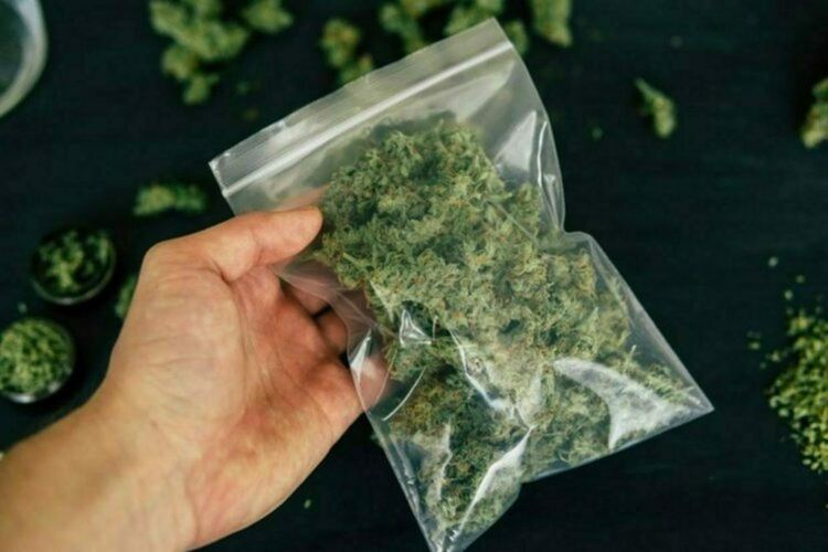 Задържаха 18-годишен с 10 грама марихуана в Хасково