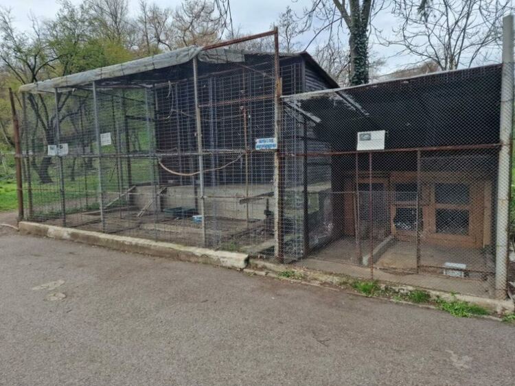 Иззети са животните от зоокъта в Централния градски парк в Перник