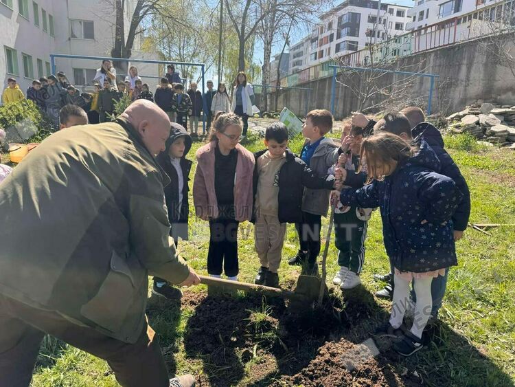 Залесиха дръвчета в двора на детска градина в Кърджали по случай "Седмицата на гората"