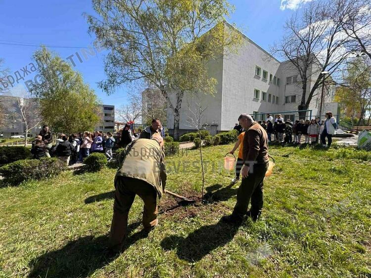 Залесиха дръвчета в двора на детска градина в Кърджали по случай "Седмицата на гората"