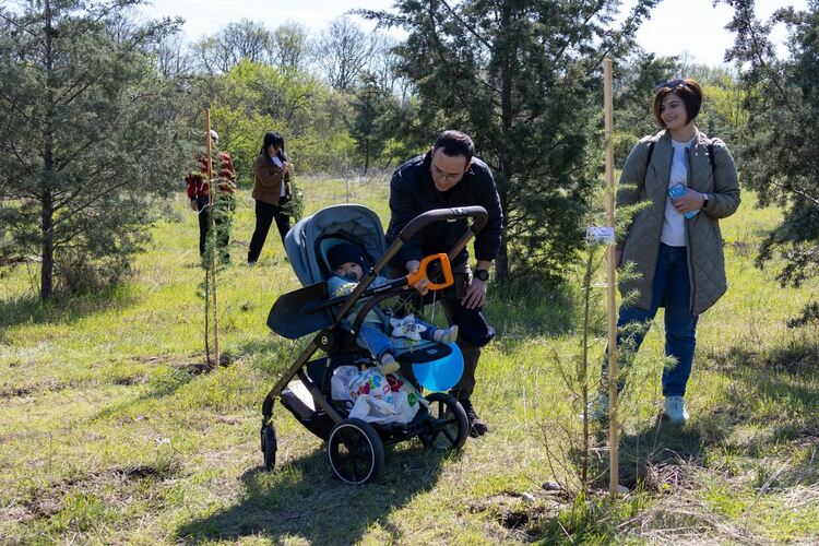 Десетки млади семейства подкрепиха еко инициативата "Алея на новия живот" и засадиха дръвчета днес