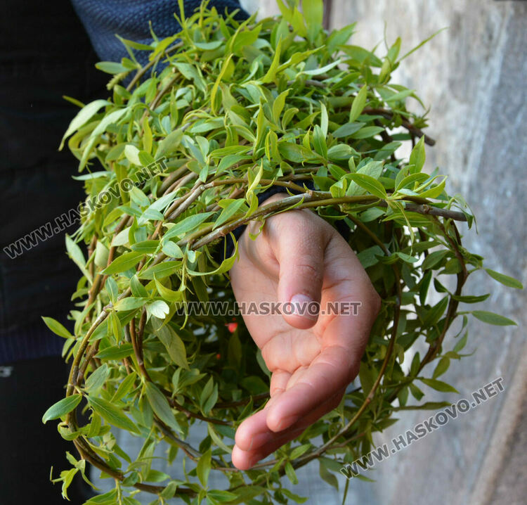 Осветиха върбовите клонки за Цветница в Хасково