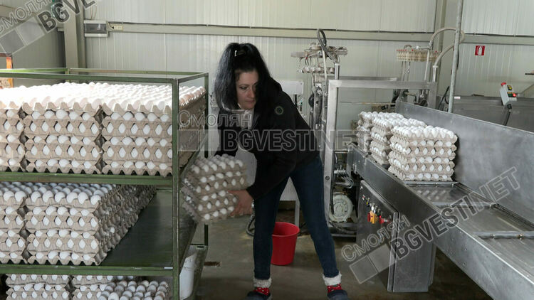 Големите търговски вериги в Смолян продават яйцата с до 27 стотинки по-скъпо от производителя 