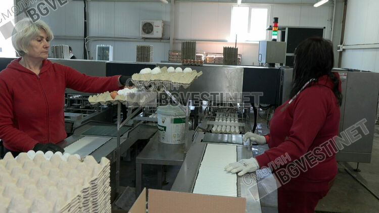 Големите търговски вериги в Смолян продават яйцата с до 27 стотинки по-скъпо от производителя 