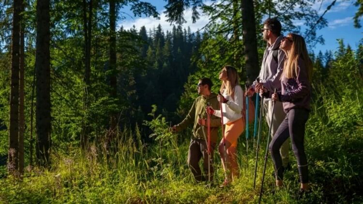 След супер успешен зимен сезон, на 20-ти юни к.к. Пампорово ще открие летния сезон с куп събития и атракции