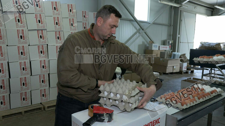 Големите търговски вериги в Смолян продават яйцата с до 27 стотинки по-скъпо от производителя 