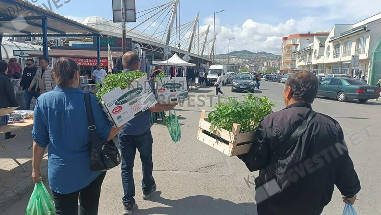 Стълпотворение на Пазара в Кърджали на Велика Събота, наплив за разсад