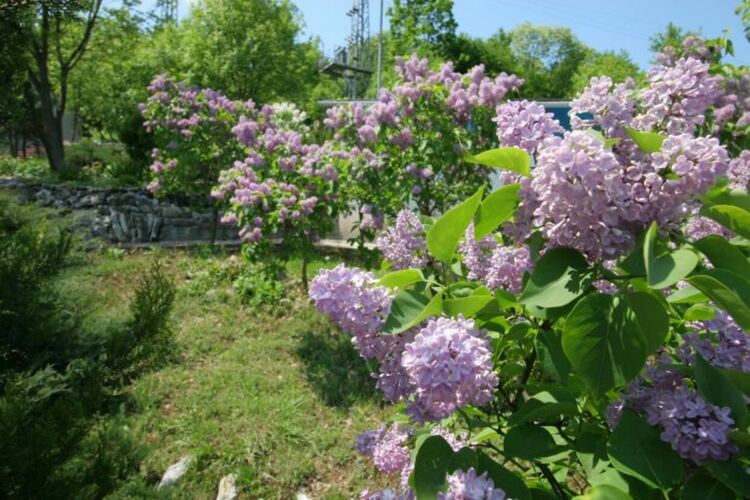 Слънчево и топло време във вторник