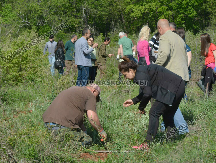Засаждат 4000 дръвчета в местността „Кенана“ край Хасково