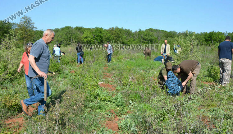 Засаждат 4000 дръвчета в местността „Кенана“ край Хасково