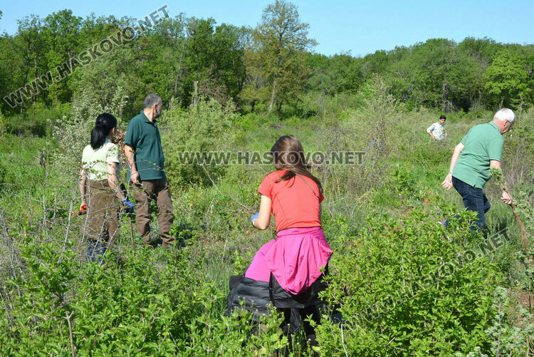Засаждат 4000 дръвчета в местността „Кенана“ край Хасково