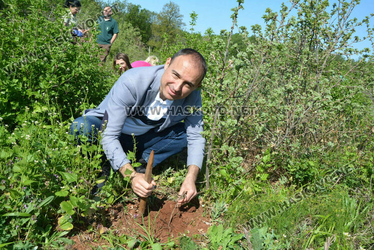 Засаждат 4000 дръвчета в местността „Кенана“ край Хасково