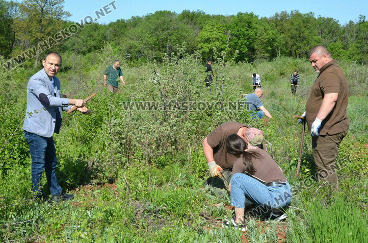 Засаждат 4000 дръвчета в местността „Кенана“ край Хасково