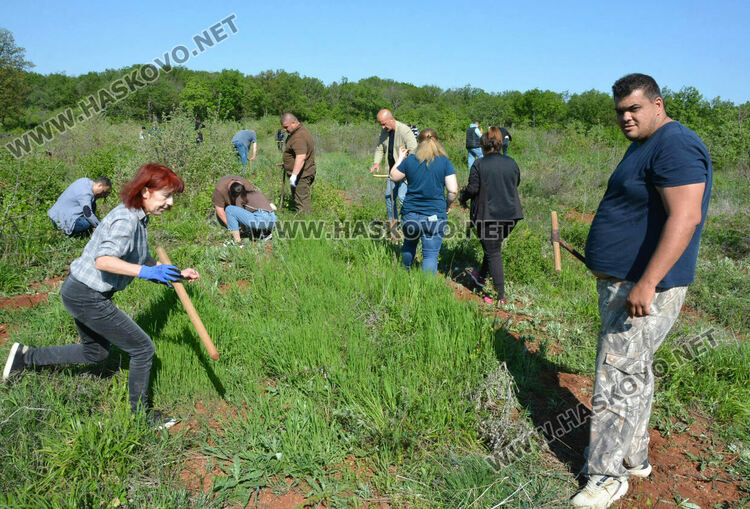 Засаждат 4000 дръвчета в местността „Кенана“ край Хасково