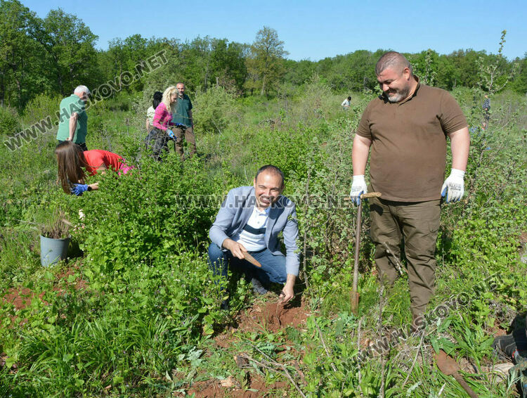 Засаждат 4000 дръвчета в местността „Кенана“ край Хасково