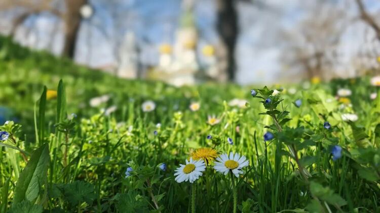 Слънчево време преди обяд и дъжд на запад в сряда