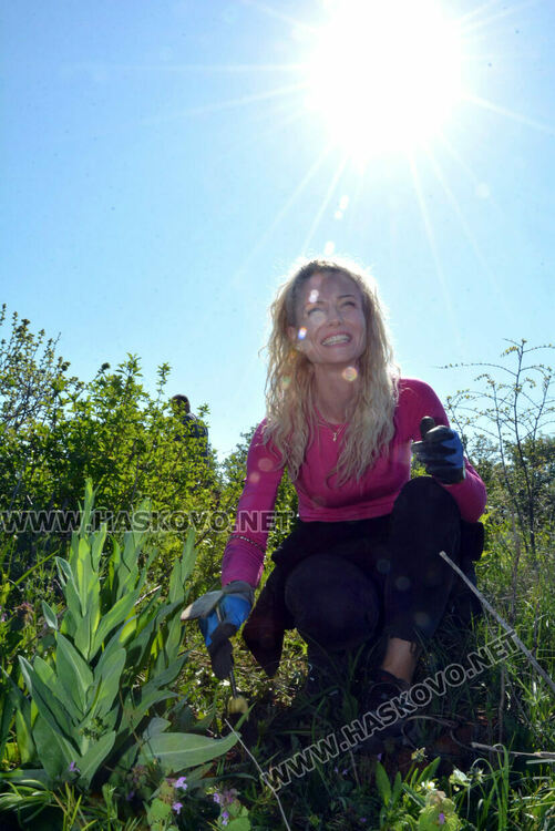 Засаждат 4000 дръвчета в местността „Кенана“ край Хасково