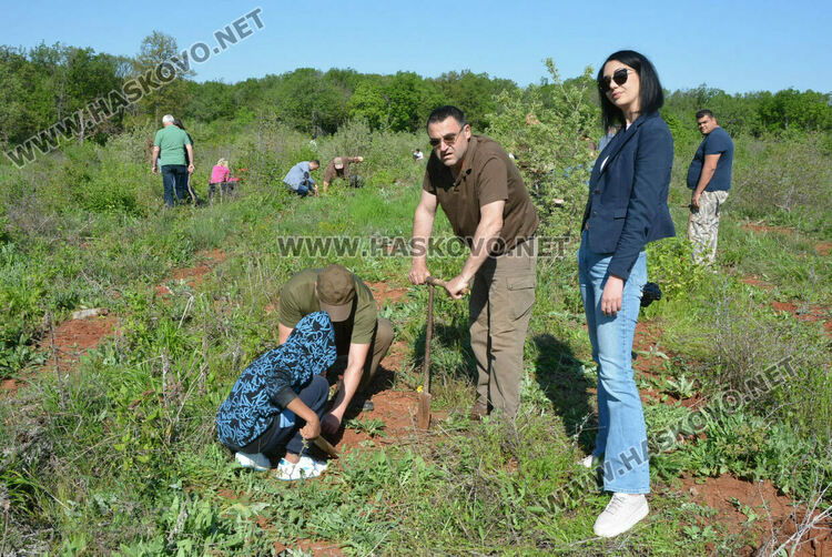 Засаждат 4000 дръвчета в местността „Кенана“ край Хасково