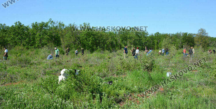 Засаждат 4000 дръвчета в местността „Кенана“ край Хасково