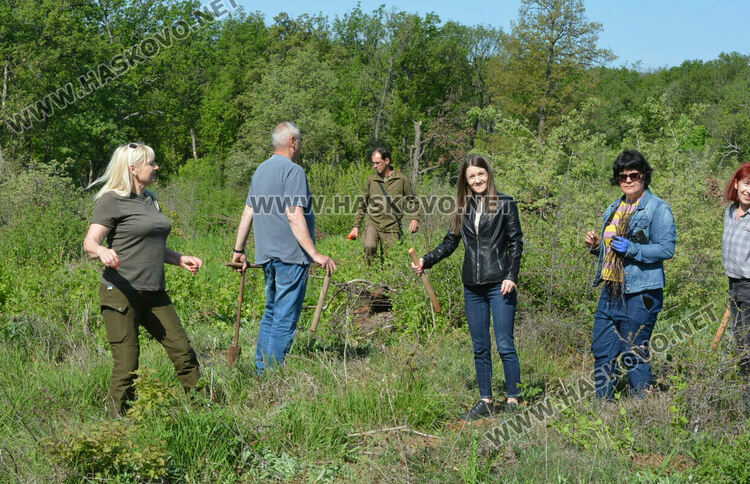 Засаждат 4000 дръвчета в местността „Кенана“ край Хасково