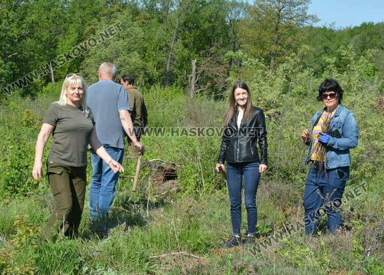 Засаждат 4000 дръвчета в местността „Кенана“ край Хасково
