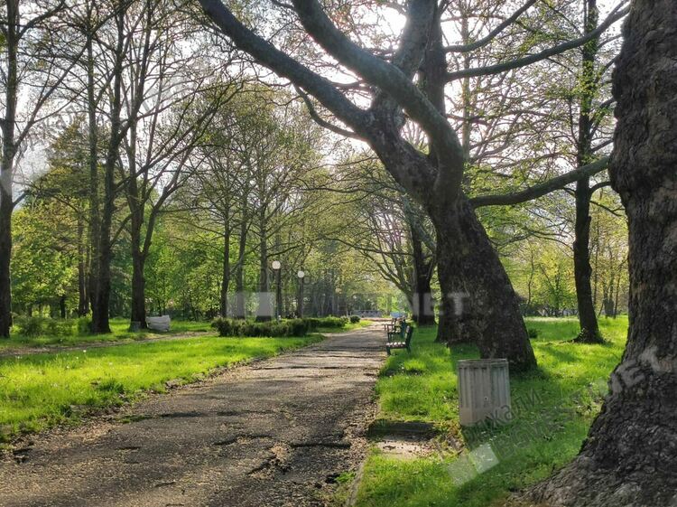 Слънчево и ветровито днес в Кърджали