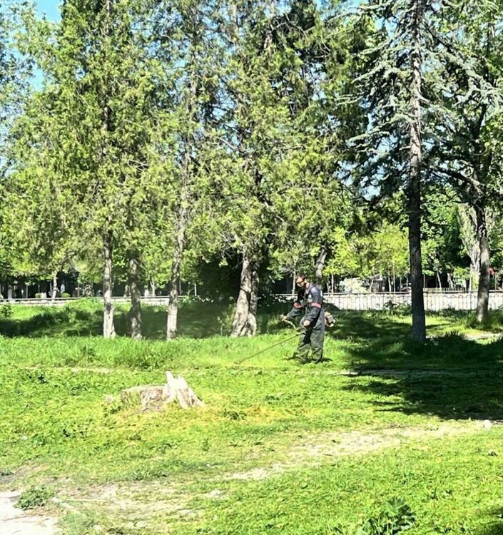 Започва обработка против кърлежи по тревните площи 