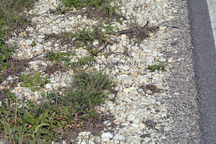 Поне 2 г. още ще продължи ремонтът на стария път от Хасково към Пловдив