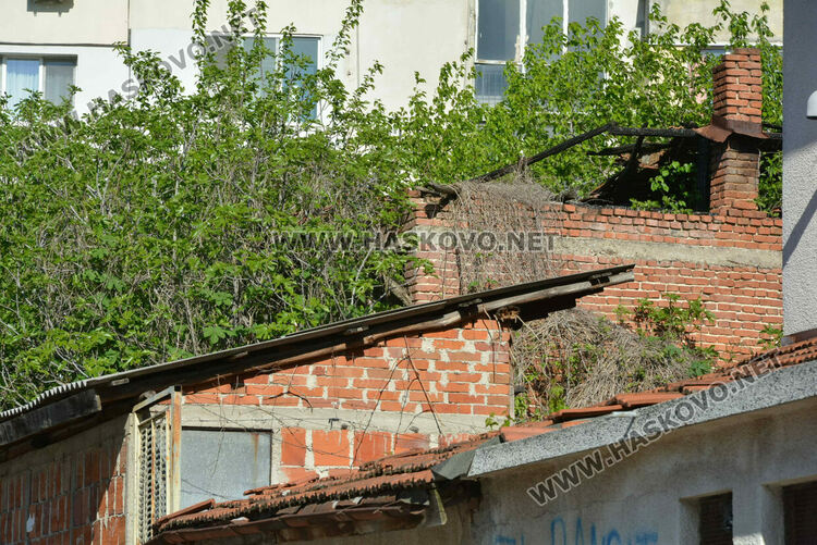 Откриха трупа на издирваната 18-годишна Магдалена от Хасково, задържаха 17-годишен