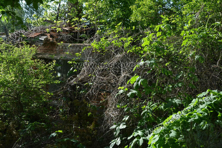 Откриха трупа на издирваната 18-годишна Магдалена от Хасково, задържаха 17-годишен