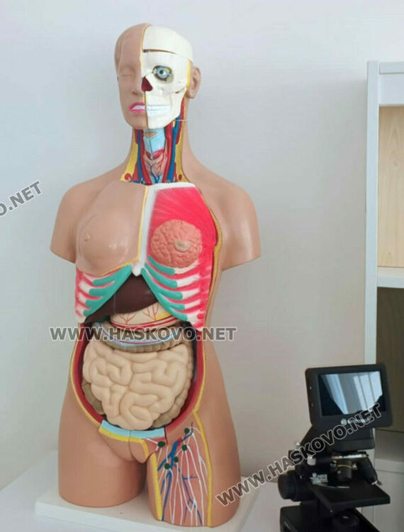 В модерен STEM център ще се обучават децата от ОУ „Св. Св. Кирил и Методий“