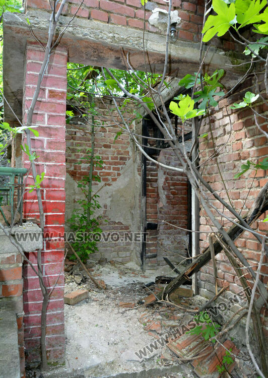 Задържаният Иван за убийството на Маги е агресирал срещу педагог във ФСГ-Хасково